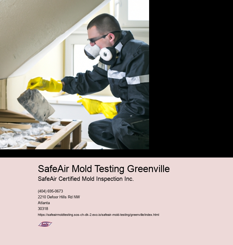 SafeAir Mold Testing Greenville