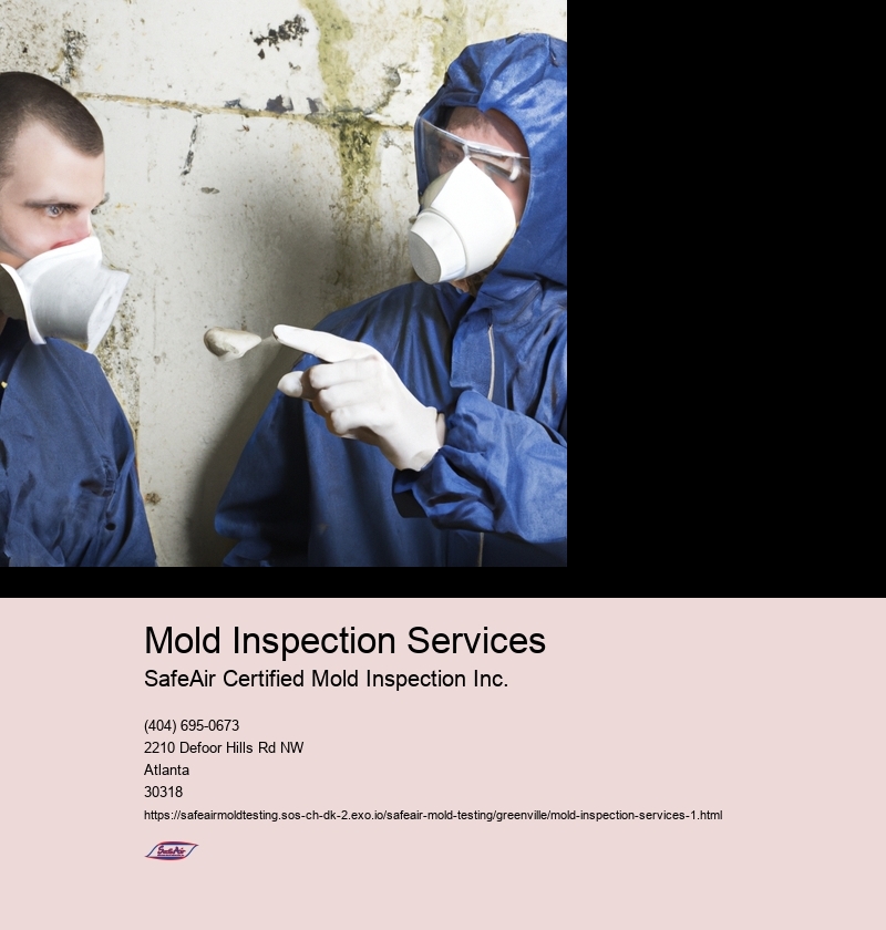 Mold Inspection Services