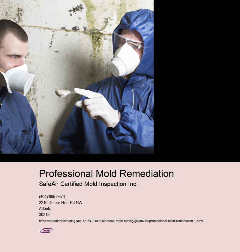 Professional Mold Remediation