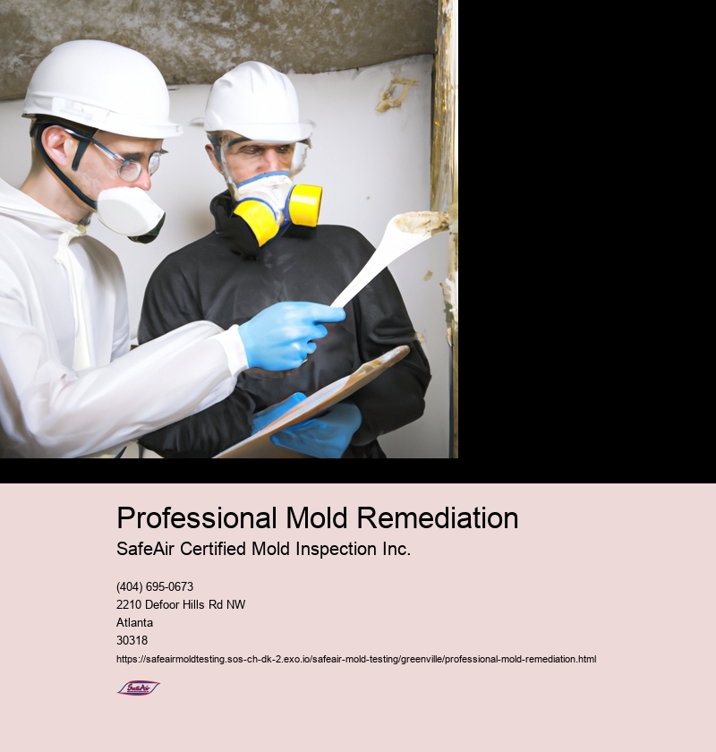 Professional Mold Remediation
