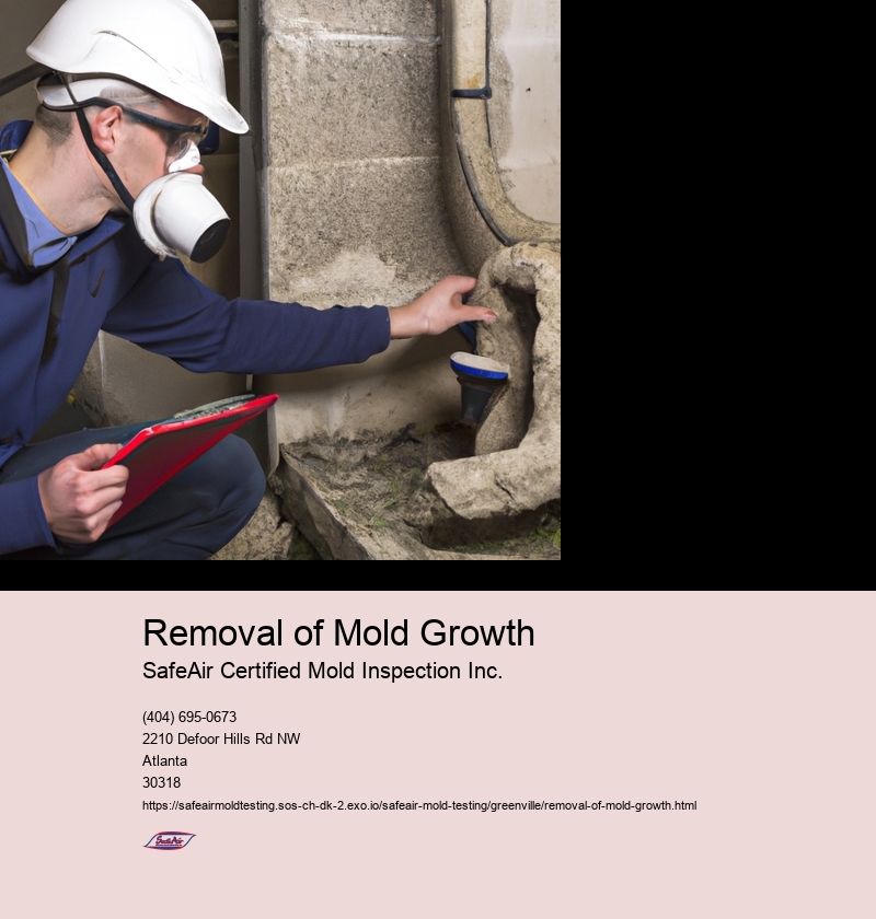 Removal of Mold Growth